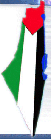 Kort over Palstina med det palstinensiske flag