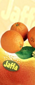 De berømte Jaffa-appelsiner fra Israel